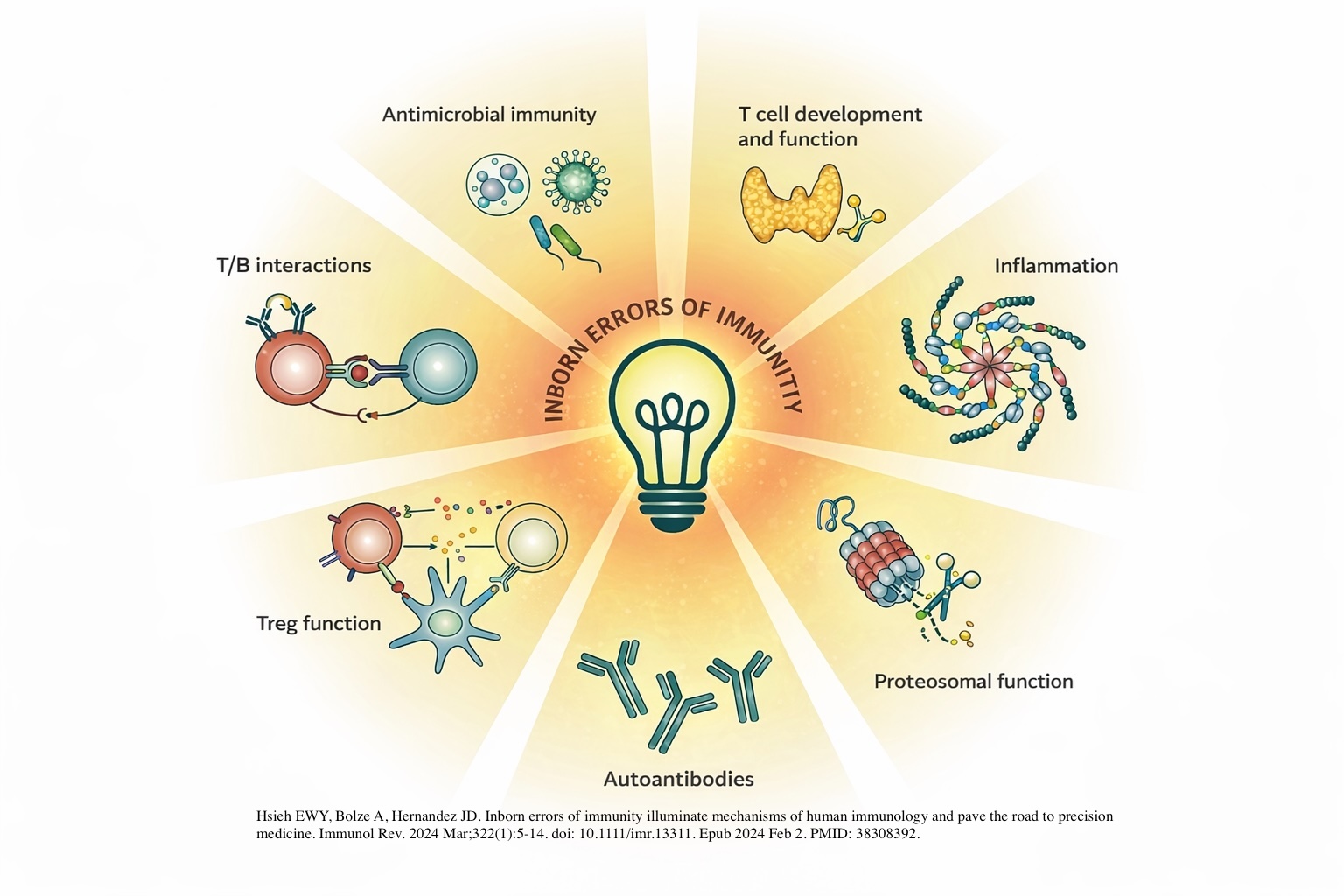 Exploration of novel IEIs